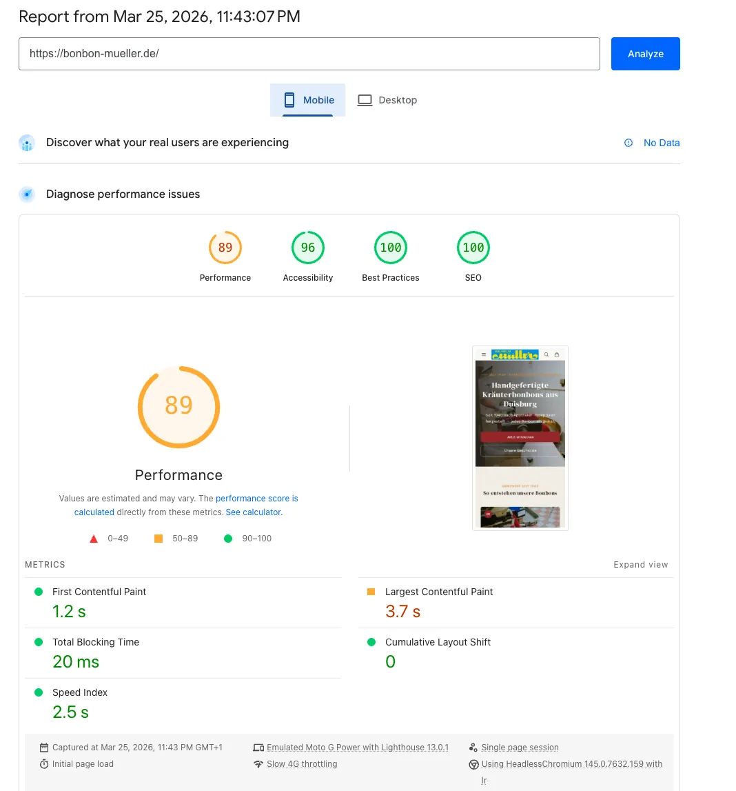 Google PageSpeed Insights Mobile: 89 Performance, 96 Accessibility, 100 Best Practices, 100 SEO