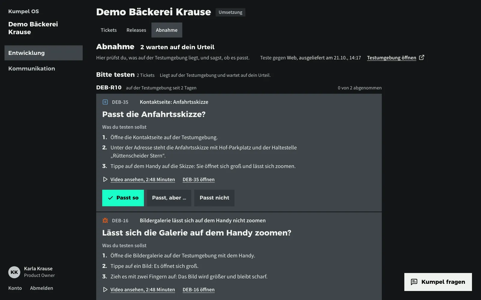 Die Abnahme aus Sicht des Kunden: je Ticket eine Frage, eine kurze Testanweisung und die Antwortmöglichkeiten (Beispieldaten)