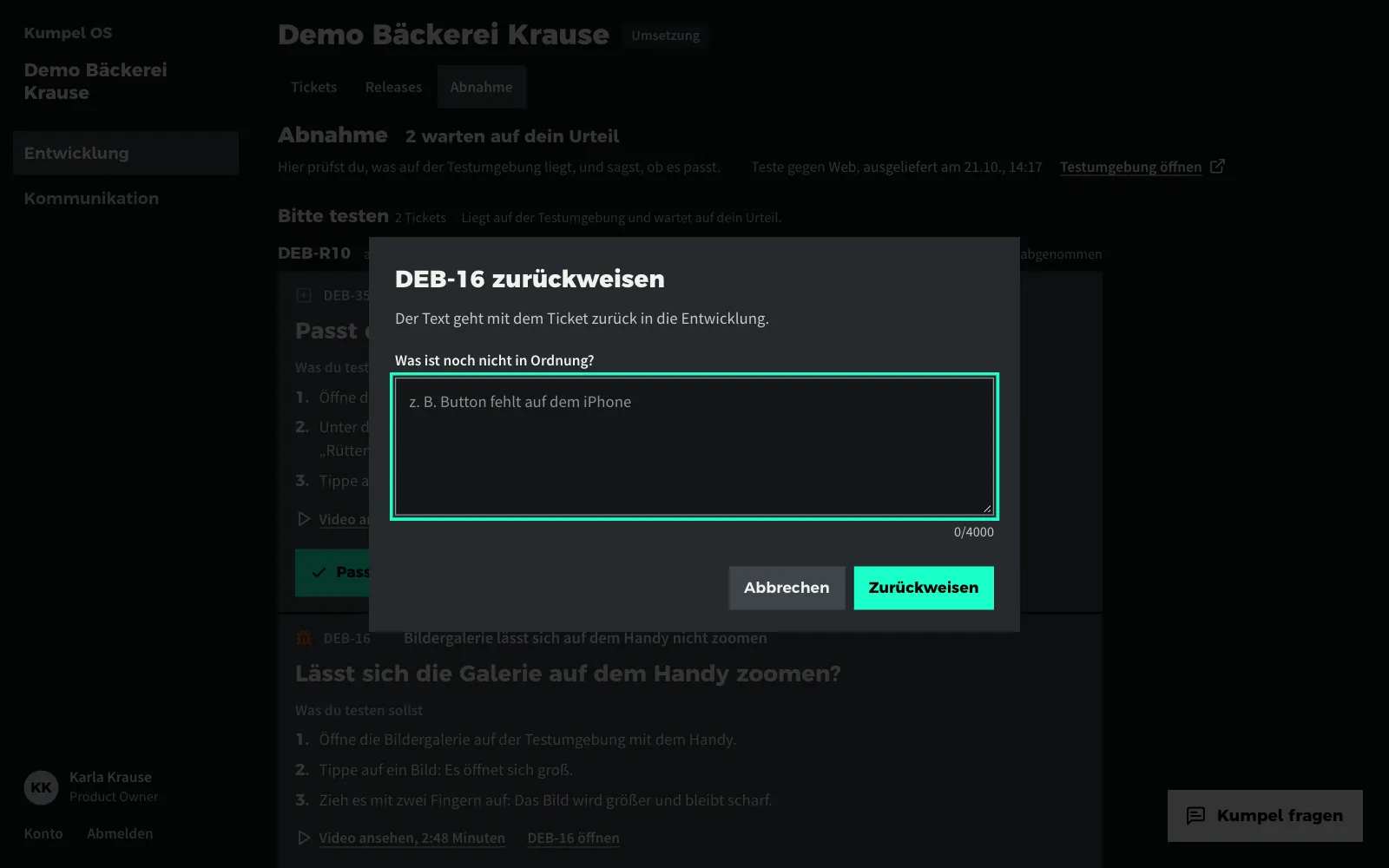 Zurückweisen mit einem Satz: Der Text geht mit dem Ticket zurück in die Entwicklung (Beispieldaten)